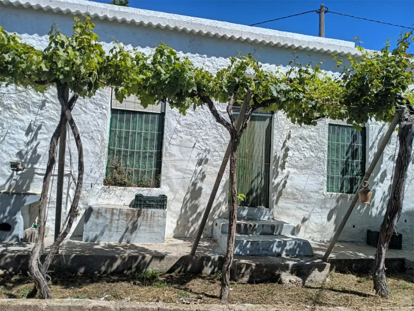 Vista exterior de Finca rústica en venda en Dalías