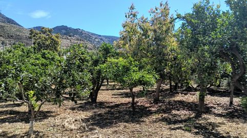 Foto 5 de Finca rústica en venta en Calle Cerrillo Páez, 26, Dalías, Almería