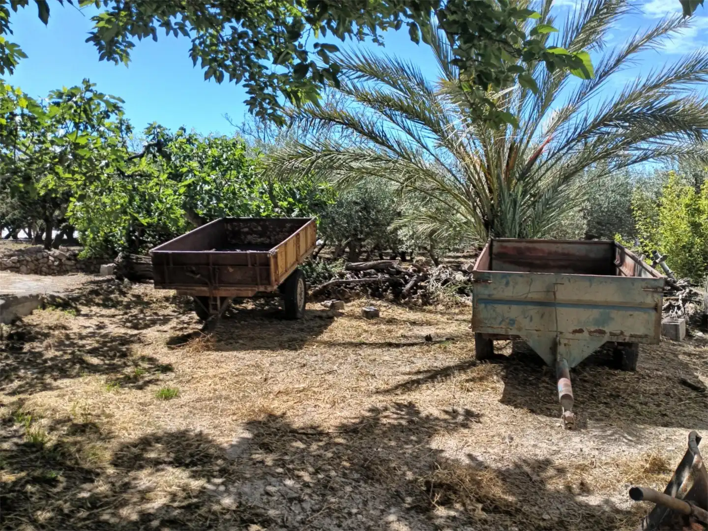 Jardí de Finca rústica en venda en Dalías