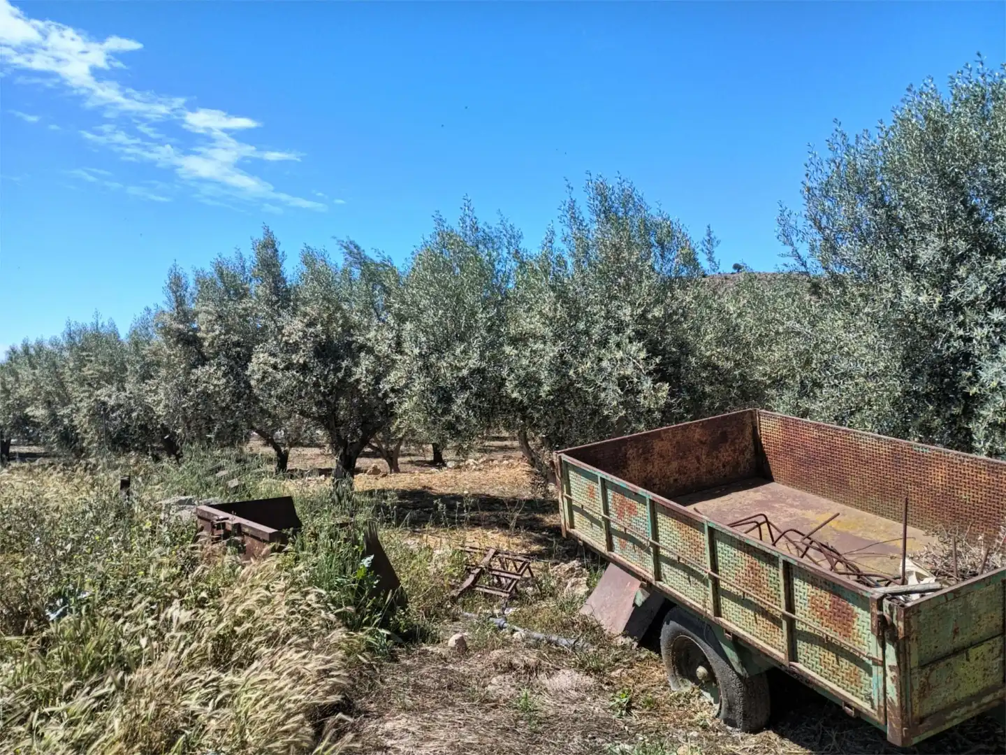 Jardí de Finca rústica en venda en Dalías