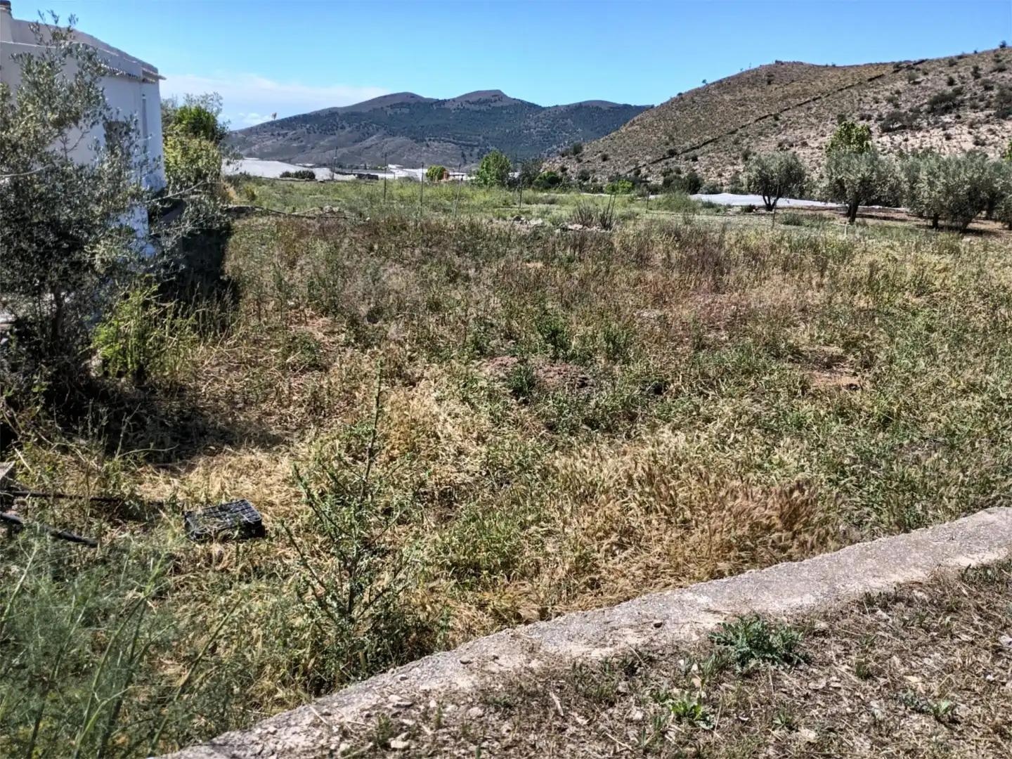 Finca rústica en venda en Dalías