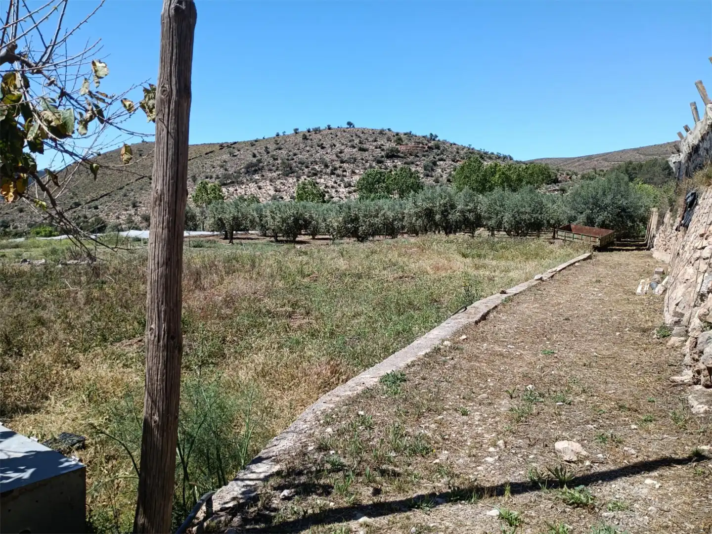 Finca rústica en venda en Dalías