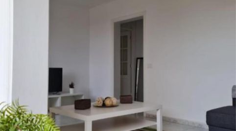 Foto 3 von Zimmer in Calle el Bierzo, 3, La Cuesta -Finca España, San Cristóbal de la Laguna