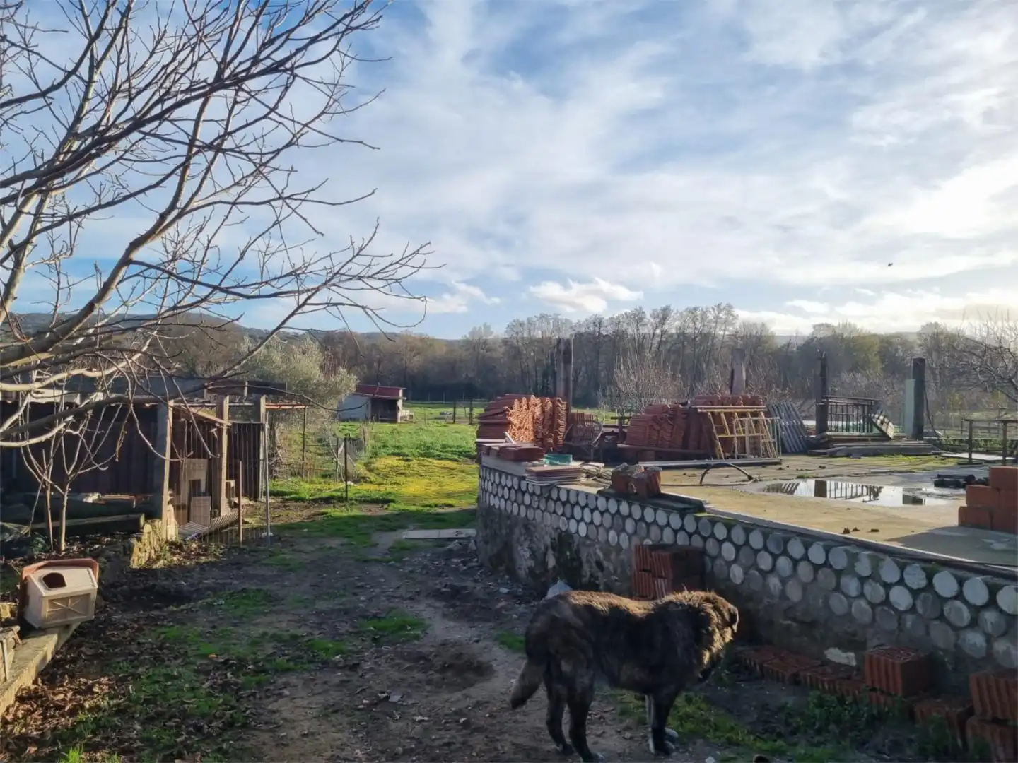 Finca rústica en venta en Avenida Gabriel y Galán, 2, Zona Norte - Hospital - Urbanizaciones Finca rústica en venta en Plasencia