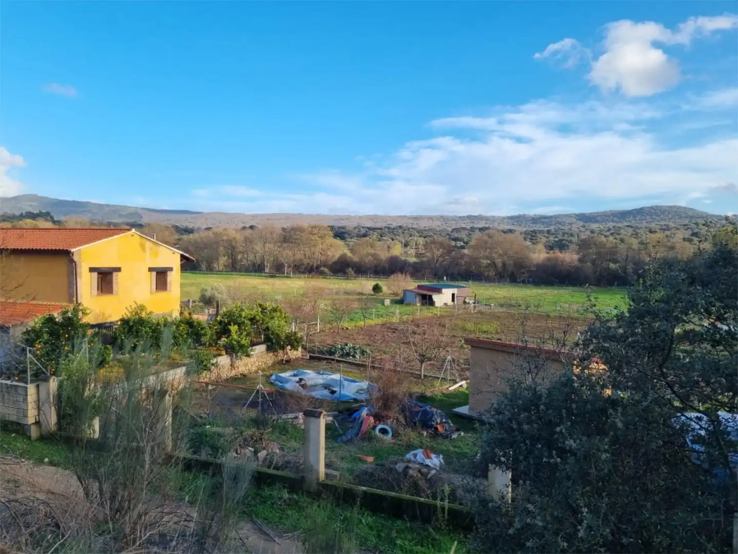 Finca rústica en venta en Avenida Gabriel y Galán, 2, Zona Norte - Hospital - Urbanizaciones Finca rústica en venta en Plasencia