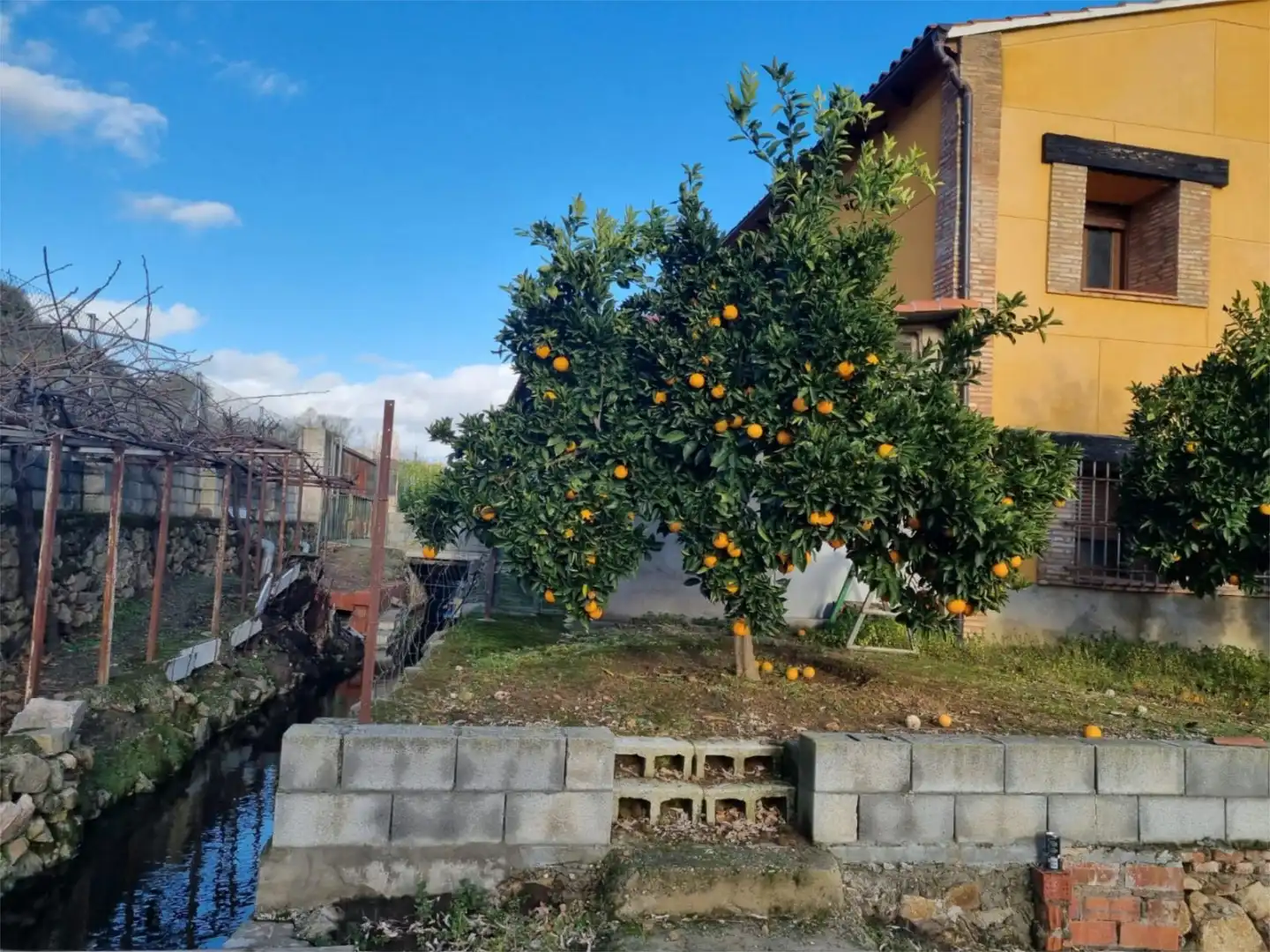 Finca rústica en venta en Avenida Gabriel y Galán, 2, Zona Norte - Hospital - Urbanizaciones Finca rústica en venta en Plasencia