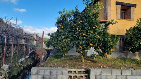 Foto 5 de Finca rústica en venta en Avenida Gabriel y Galán, 2, Zona Norte - Hospital - Urbanizaciones, Plasencia