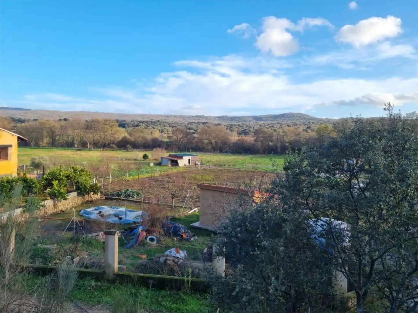 Finca rústica en venta en Avenida Gabriel y Galán, 2, Zona Norte - Hospital - Urbanizaciones Finca rústica en venta en Plasencia