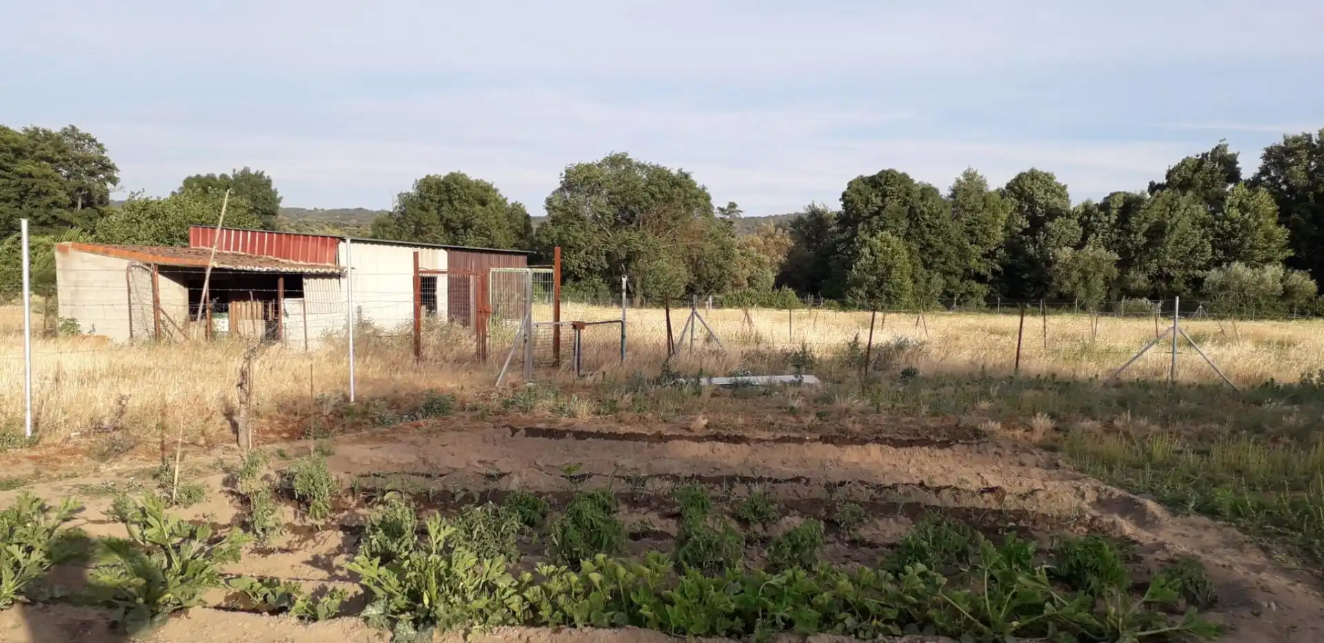 Finca rústica en venta en Avenida Gabriel y Galán, 2, Zona Norte - Hospital - Urbanizaciones Finca rústica en venta en Plasencia