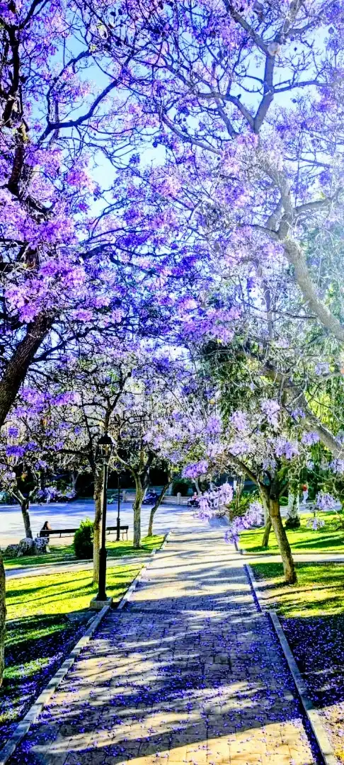Jardí de Casa adosada en venda en Algarrobo amb Terrassa