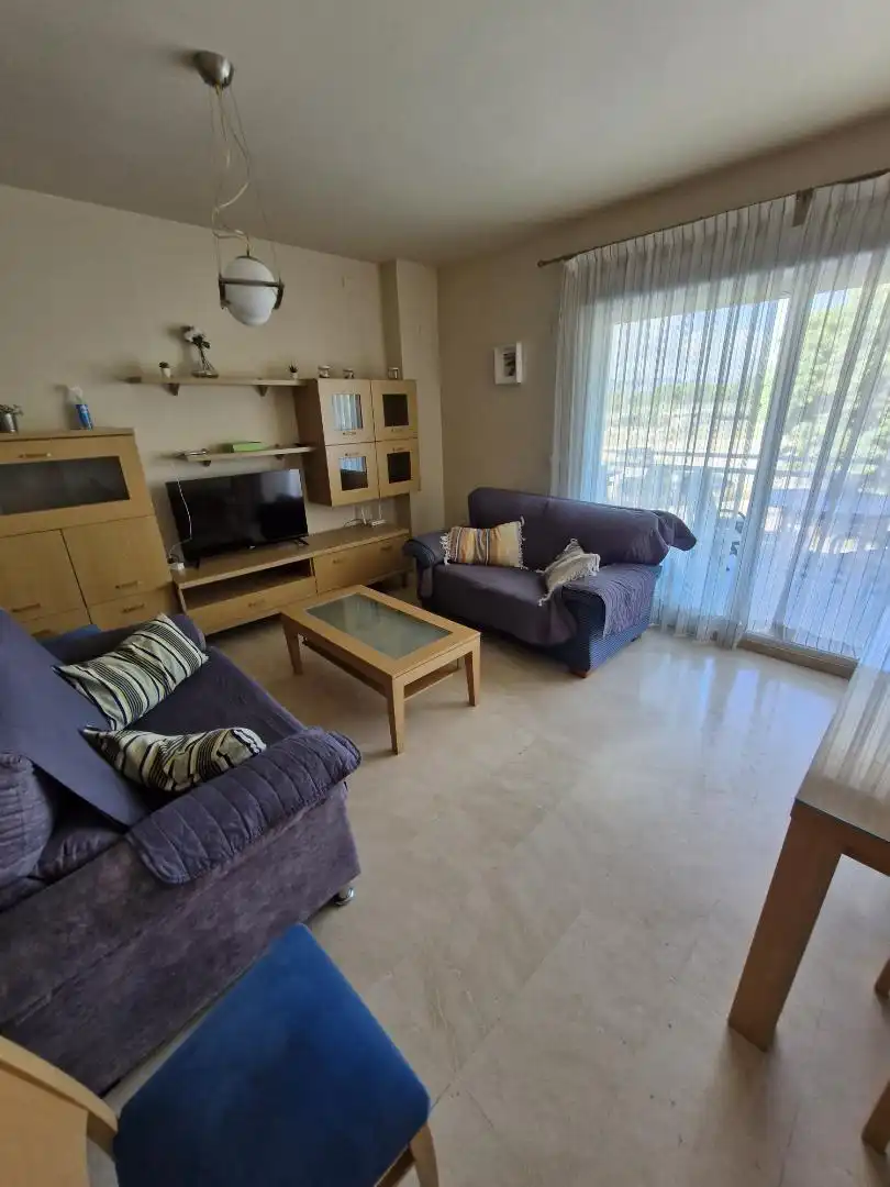 Living room of Flat for rent in Gandia  with Air Conditioner, Heating and Furnished