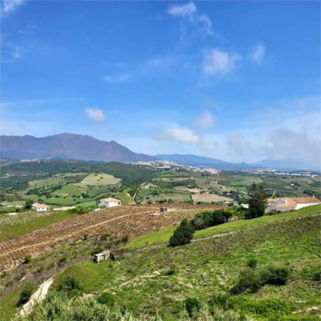 Houses for sale in Manilva Pueblo Exterior view of Houses for sale in Manilva with Terrace