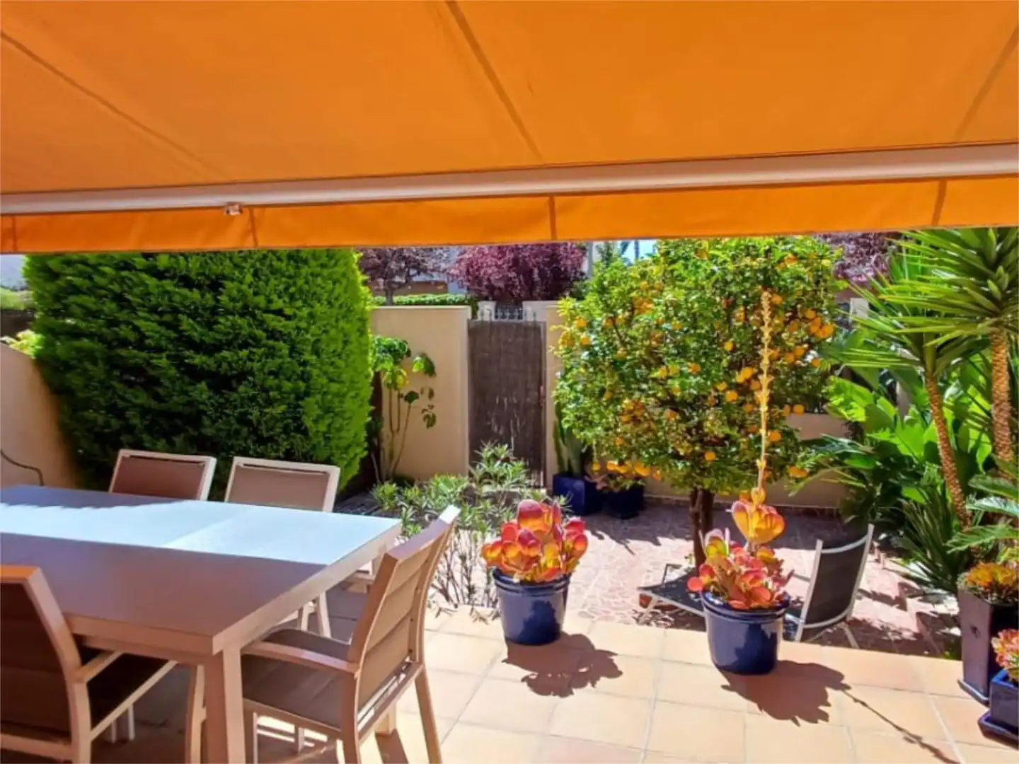 Detached homes for sale in Avinguda del Fabraquer, 4, Playa Muchavista Terrace of Detached homes for sale in El Campello with Air Conditioner, Heating and Private garden