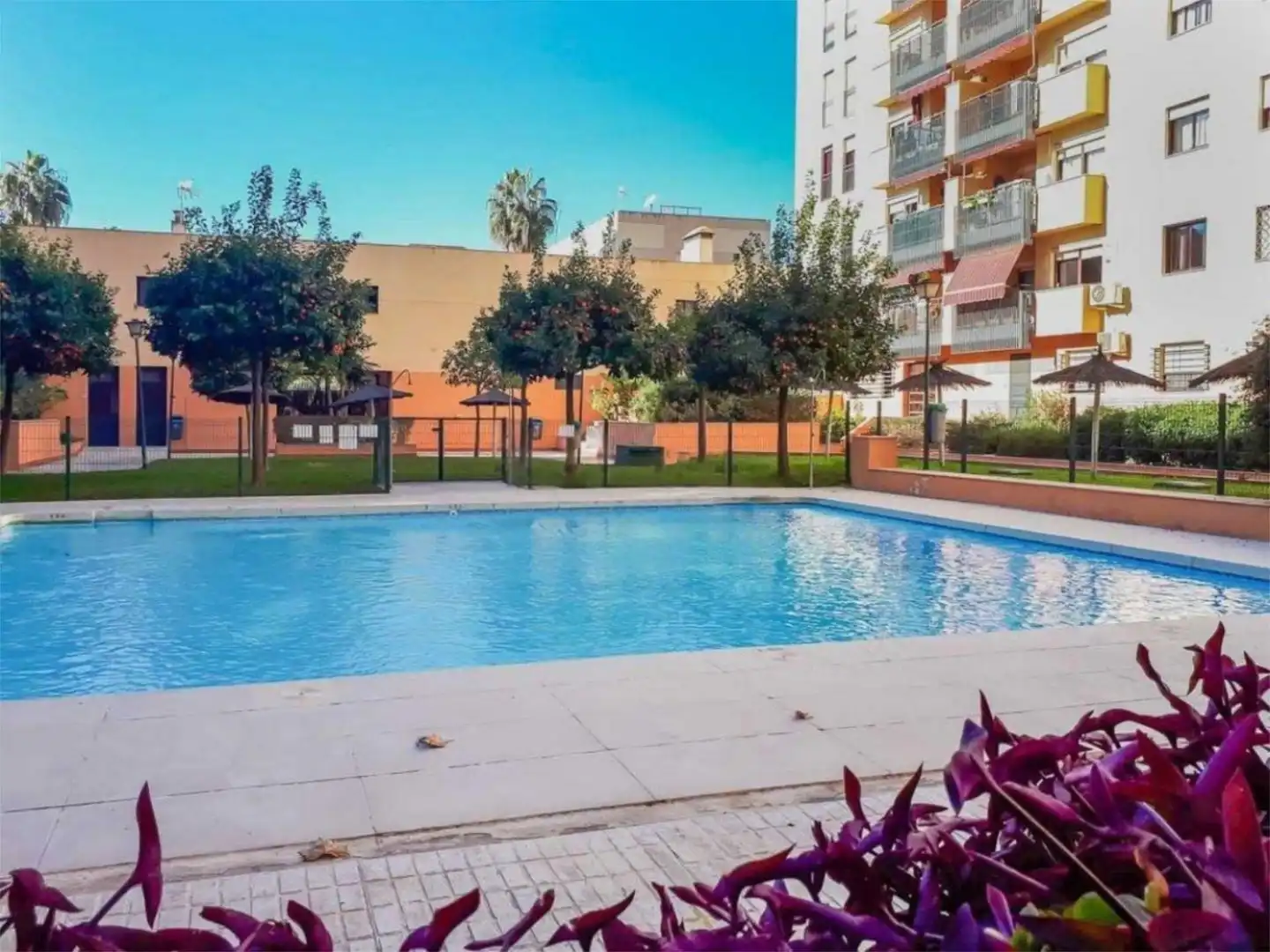 Piscina de Piso de alquiler en  Sevilla Capital con Aire acondicionado, Calefacción y Jardín privado