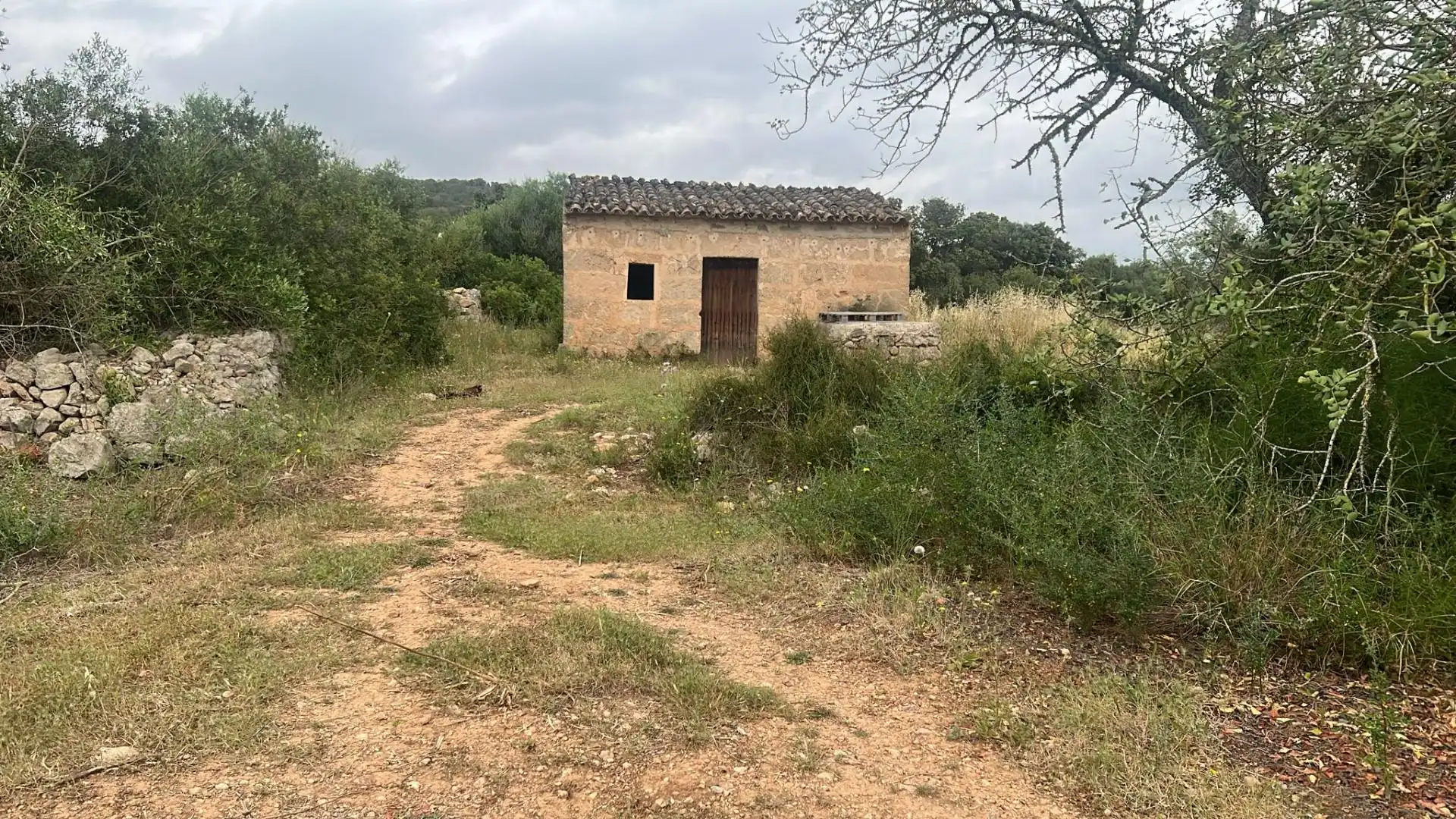 Terreno en venta en Marratxí