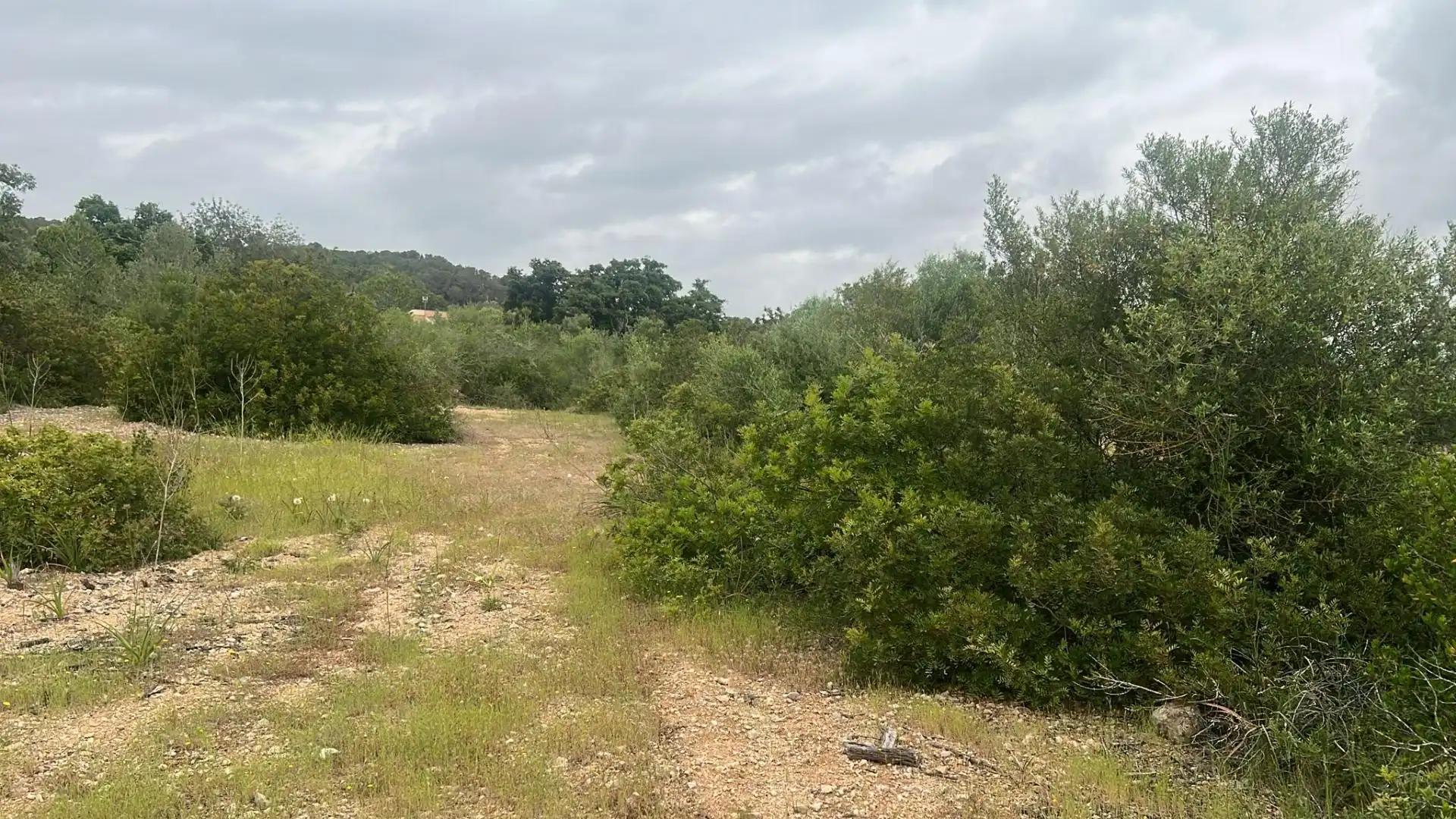 Terreno en venta en Carrer de Ramon i Cajal, 11, Pòrtol Terreno en venta en Marratxí
