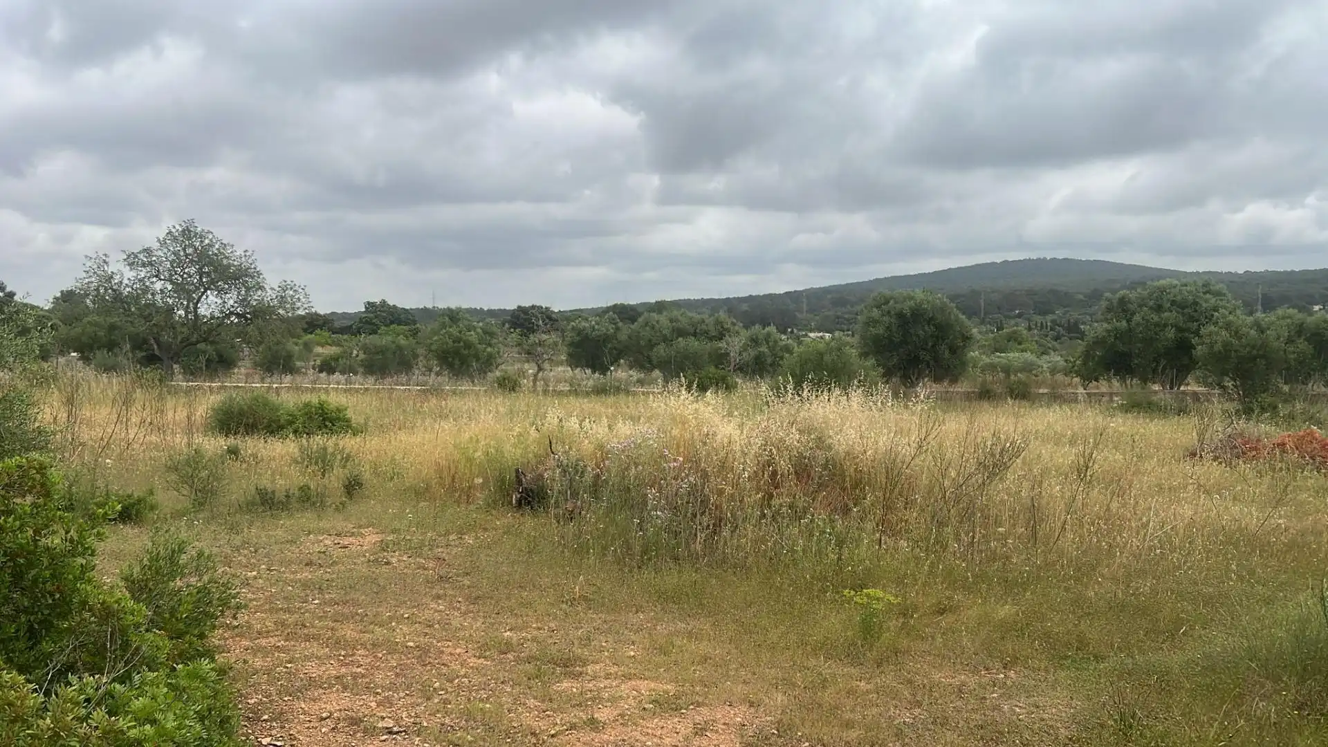 Terreno en venta en Carrer de Ramon i Cajal, 11, Pòrtol Terreno en venta en Marratxí