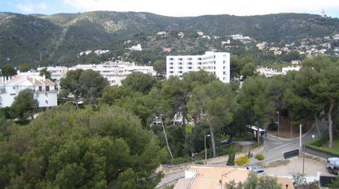 Foto 4 de Estudio en venta en Carrer de Can Tàpera, 2, Sant Agustí, Palma de Mallorca