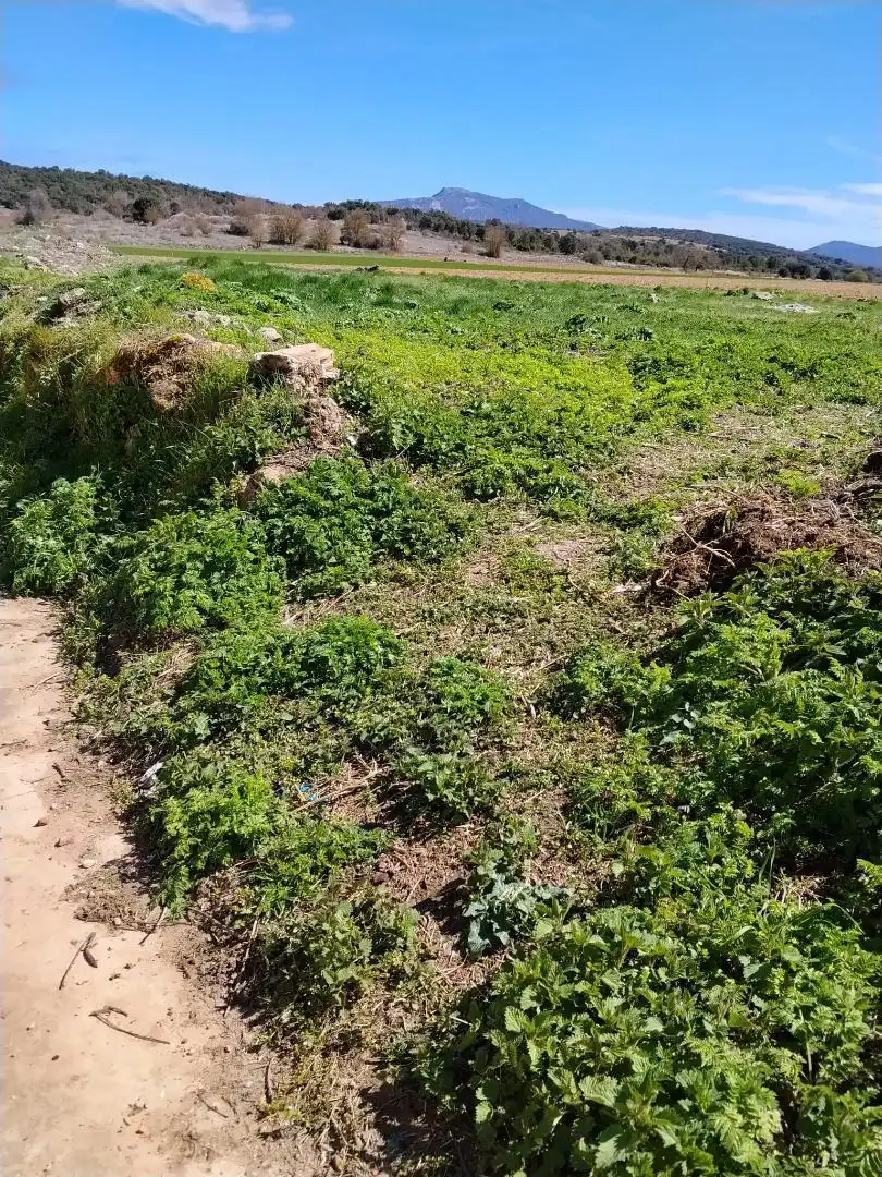 Land for sale in Calle Baja, 1, Oña Land for sale in Oña