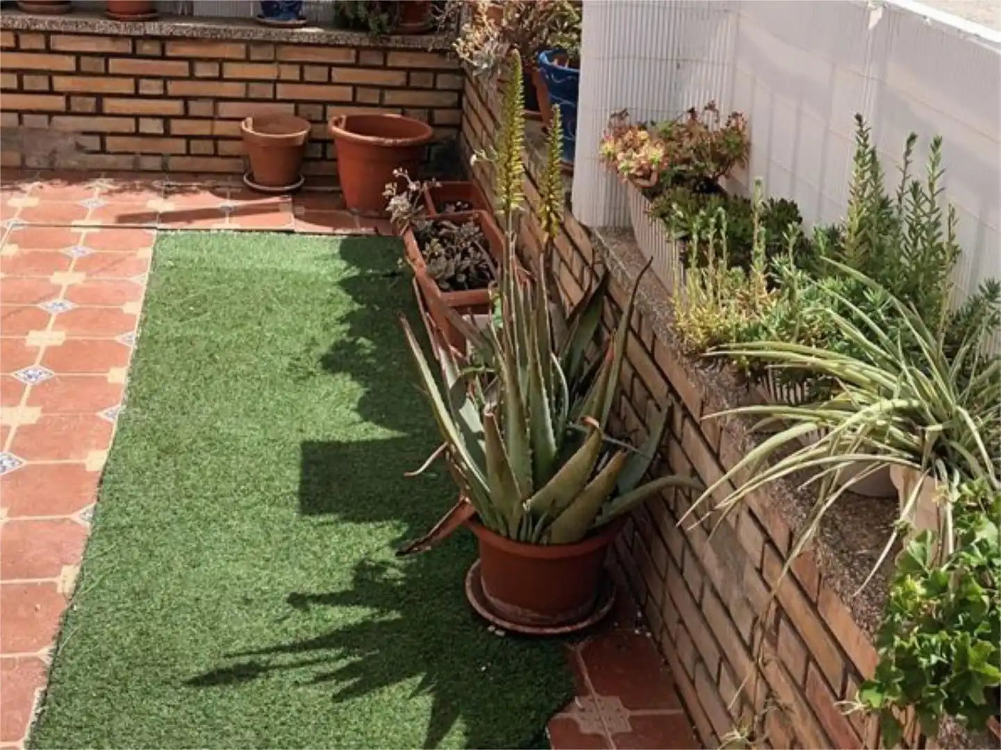 Jardí de Casa o xalet en venda en Archidona amb Terrassa i Balcó