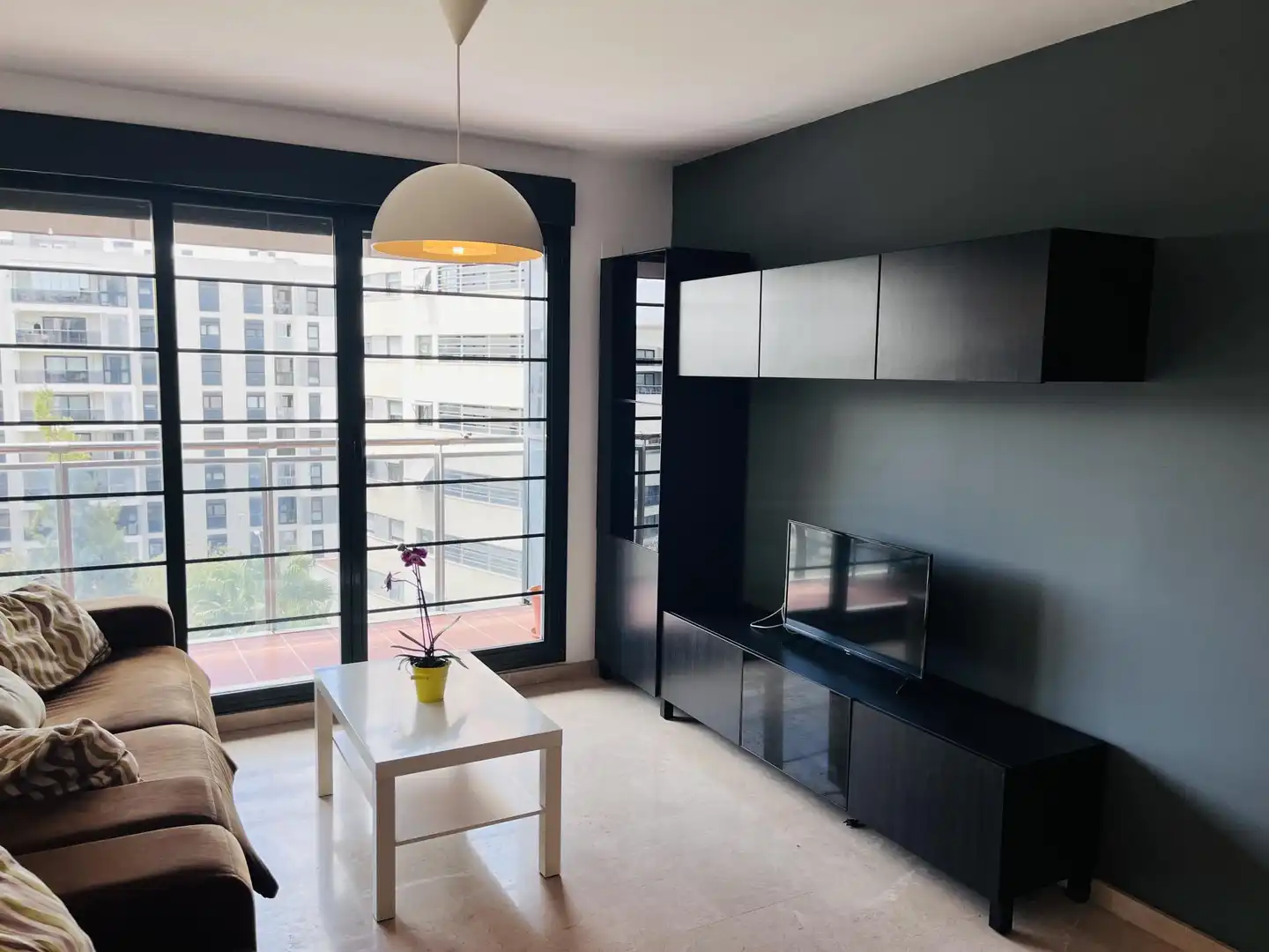 Sala de estar de Piso de alquiler en Alicante / Alacant con Aire acondicionado, Calefacción y Jardín privado