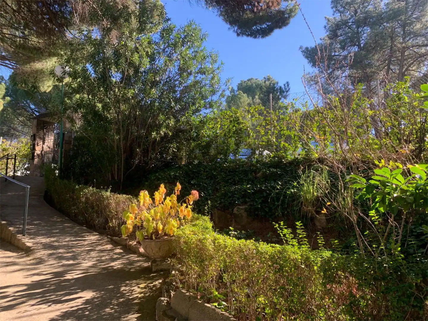 Jardín de Apartamento en venta en San Martín de Valdeiglesias con Calefacción, Terraza y Amueblado