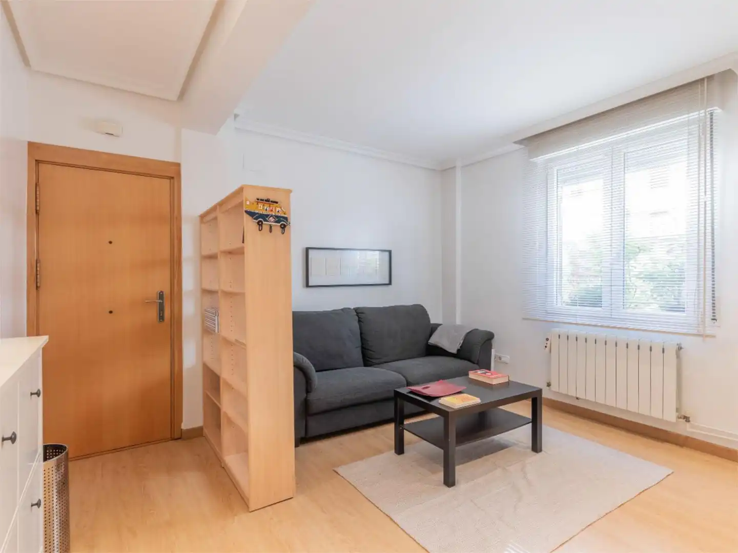Sala d'estar de Pis de lloguer en Bilbao  amb Terrassa