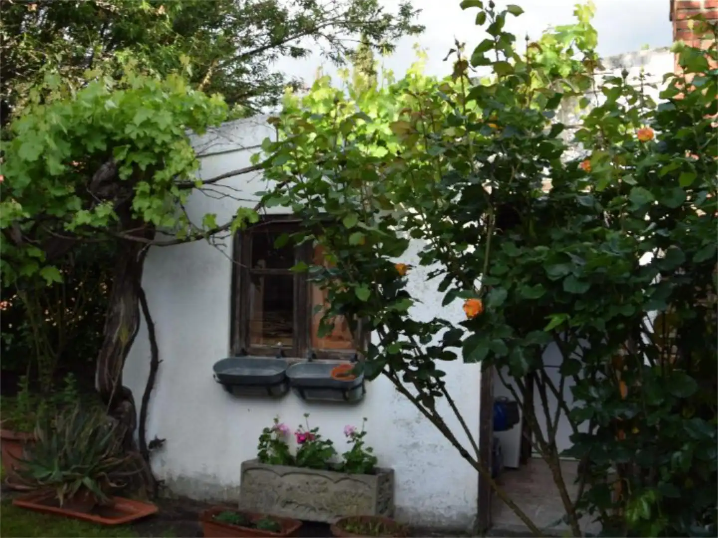Casa o xalet en venda a Camino Collantes, 5, Allende el Río Jardí de Casa o xalet en venda en Palencia amb Calefacció, Jardí privat i Terrassa
