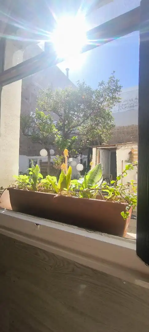 Room in Calle Ayagaures, Vecindario - El Doctoral - Cruce de Sardina