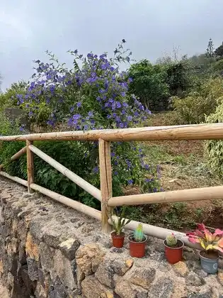 Finca rústica en venta en Calle Pinoleris, 48, El Bebedero - Pinolere - Aguamansa Jardín de Finca rústica en venta en La Orotava con Terraza