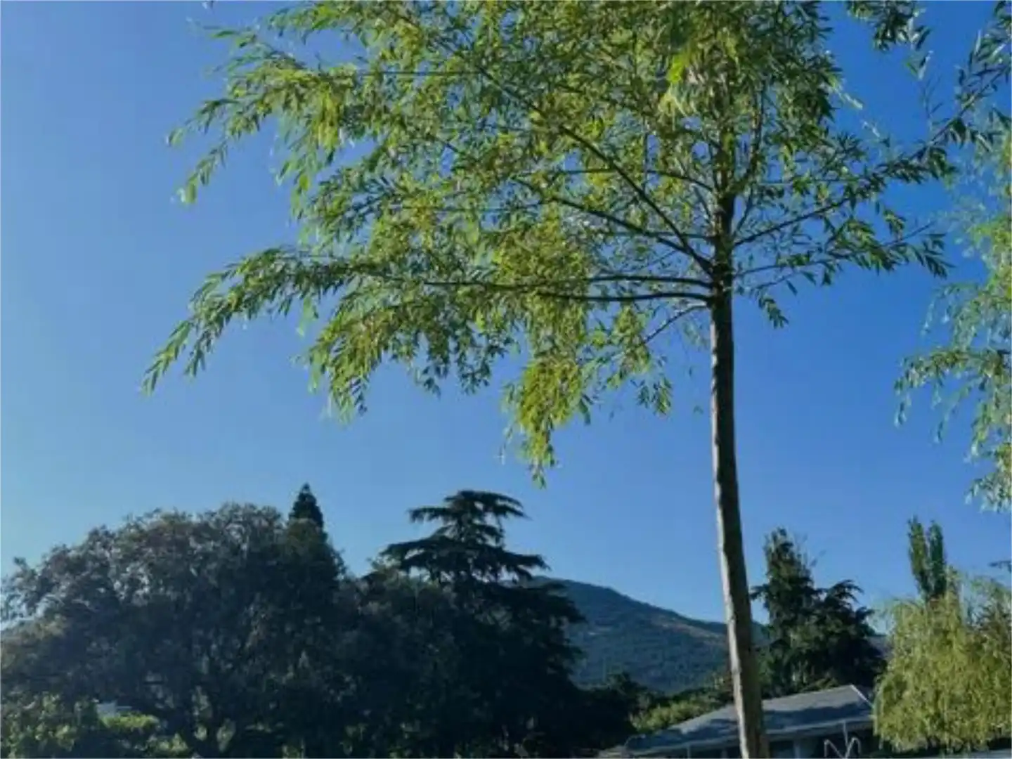 Habitación en Urbanización los Escoriales, 1, Jardín de los Reyes - Parque Real Vista exterior de Piso para compartir en El Escorial con Calefacción, Jardín privado y Piscina