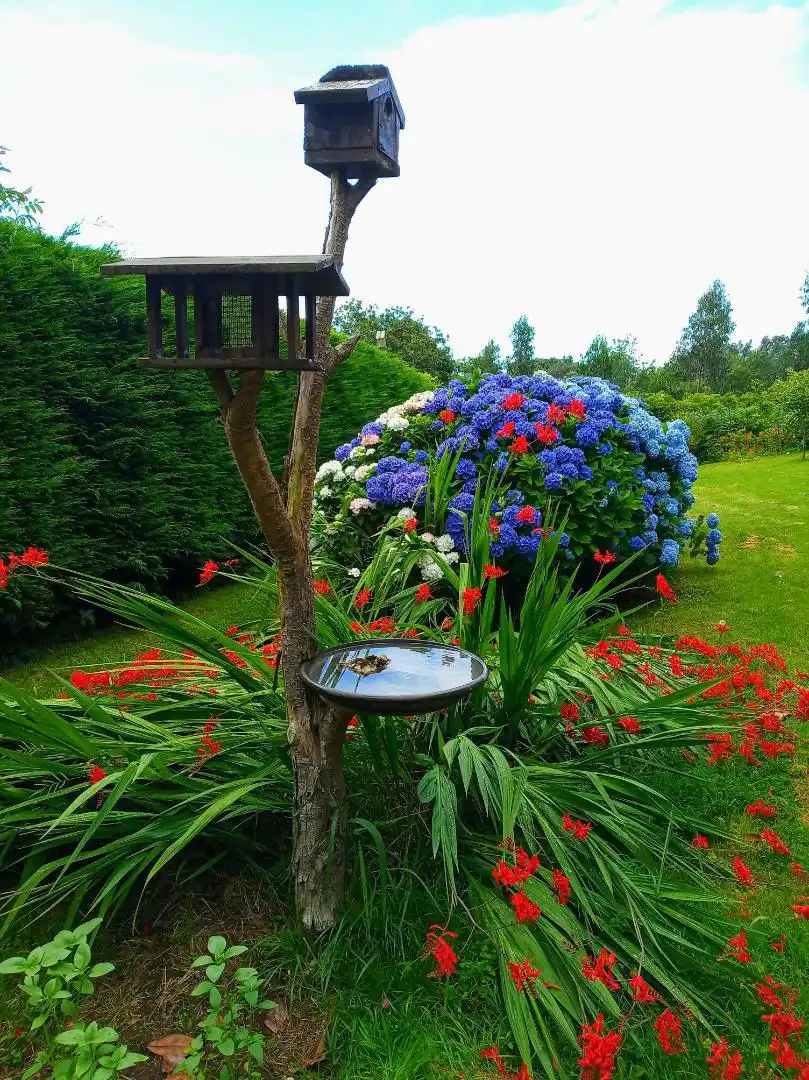 Garden of Land for sale in Llanes