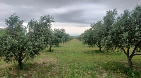 Foto 3 de Finca rústica en venta en Cm-5103, 1, Velada, Toledo
