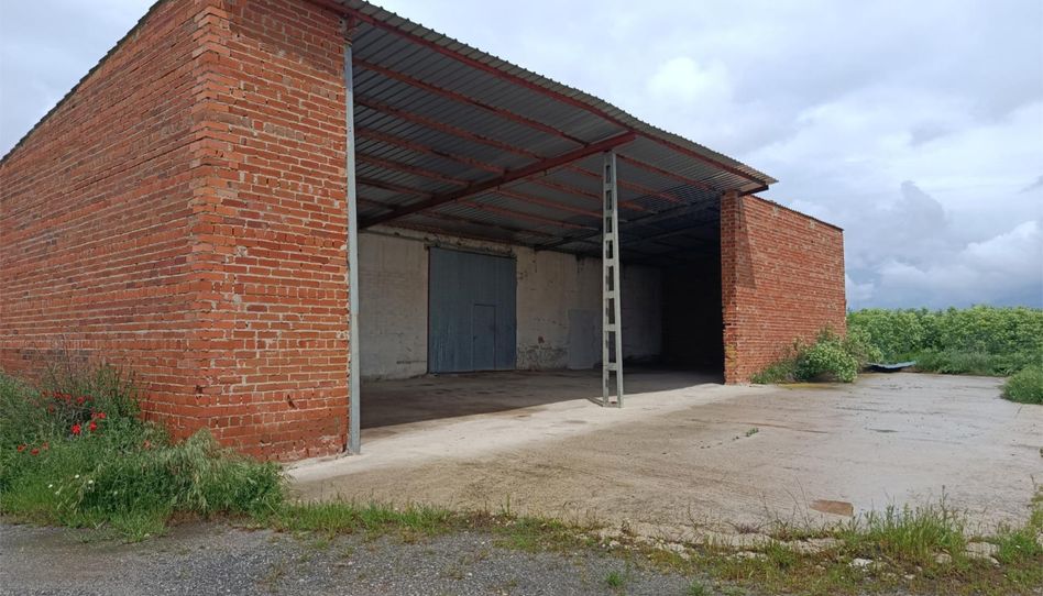 Commercial properties for rent in Calle Arroyo, 25, Martín Muñoz de las Posadas, Segovia - image 1 Photo 1 of Commercial properties for rent in Calle Arroyo, 25, Martín Muñoz de las Posadas, Segovia