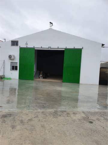Nave industrial en Alquiler en La Carlota