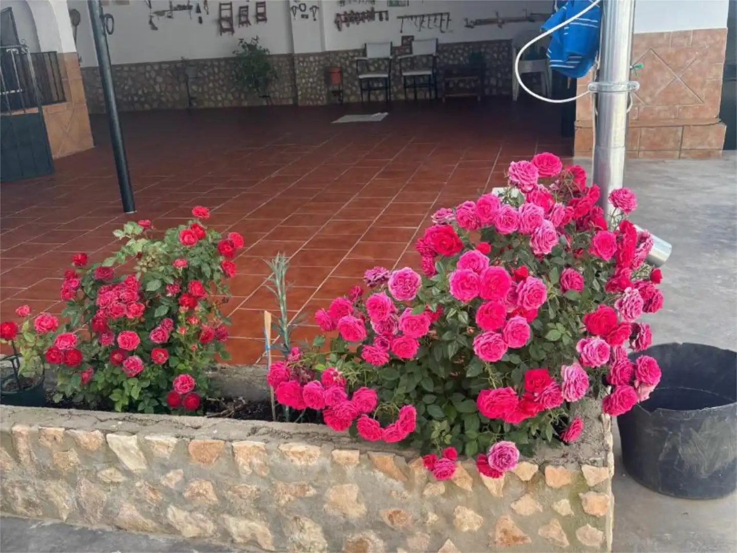 Piso en venta en Osuna Jardín de Piso en venta en Osuna con Aire acondicionado, Jardín privado y Piscina