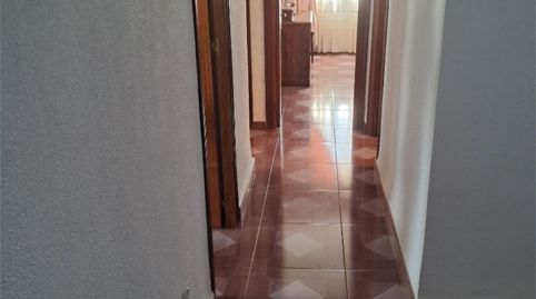 Piso en venta en Avenida Vallesequillo, 4, Vallesequillo, Jerez de la Frontera - imagen 5 Foto 5 de Piso en venta en Avenida Vallesequillo, 4, Vallesequillo, Jerez de la Frontera