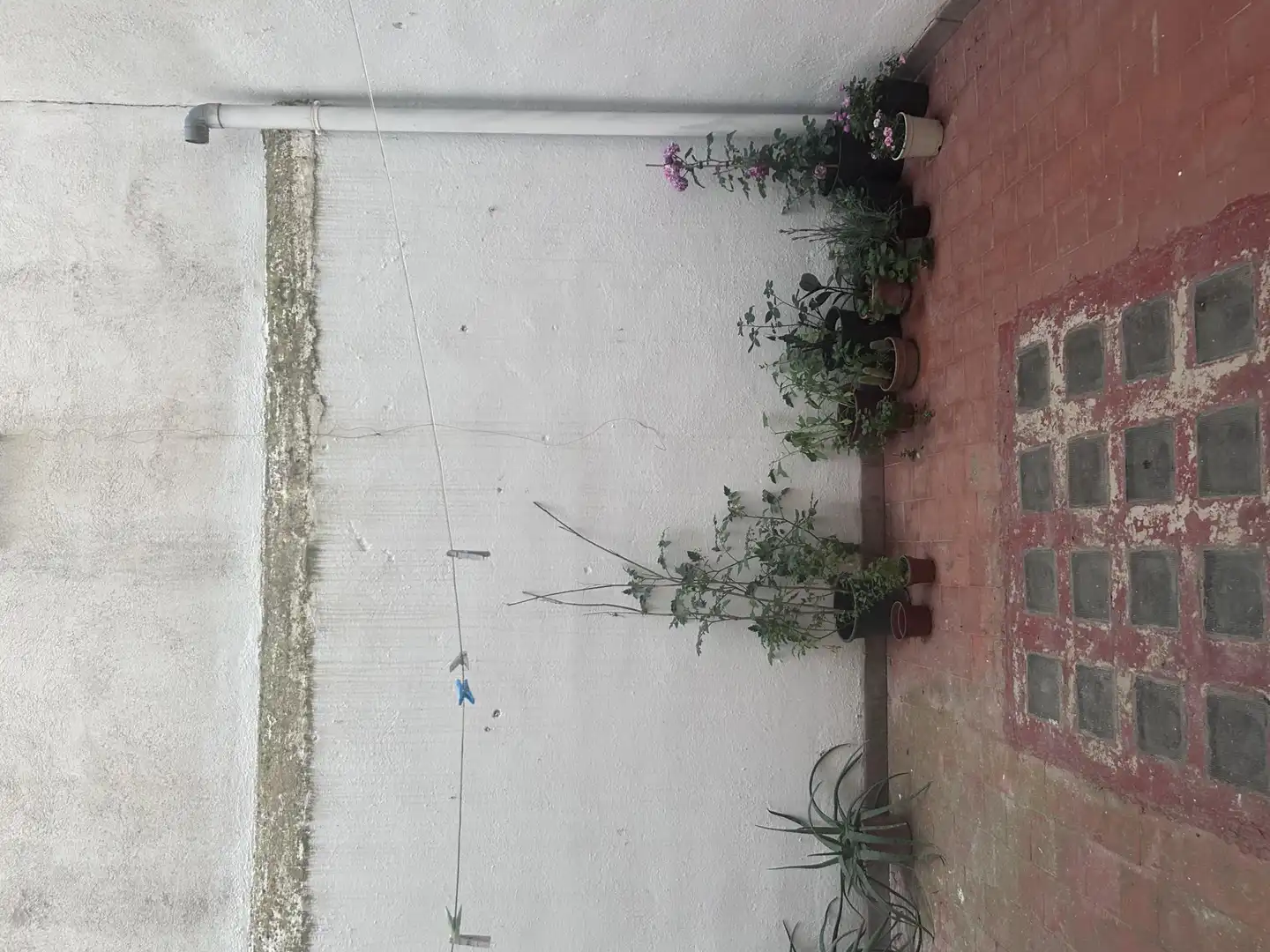 Habitació a Calle Martínez Molina, 27, Ctra. Circunvalación - La Magdalena Jardí de Pis per a compartir en Jaén amb Aire condicionat, Traster i Moblat
