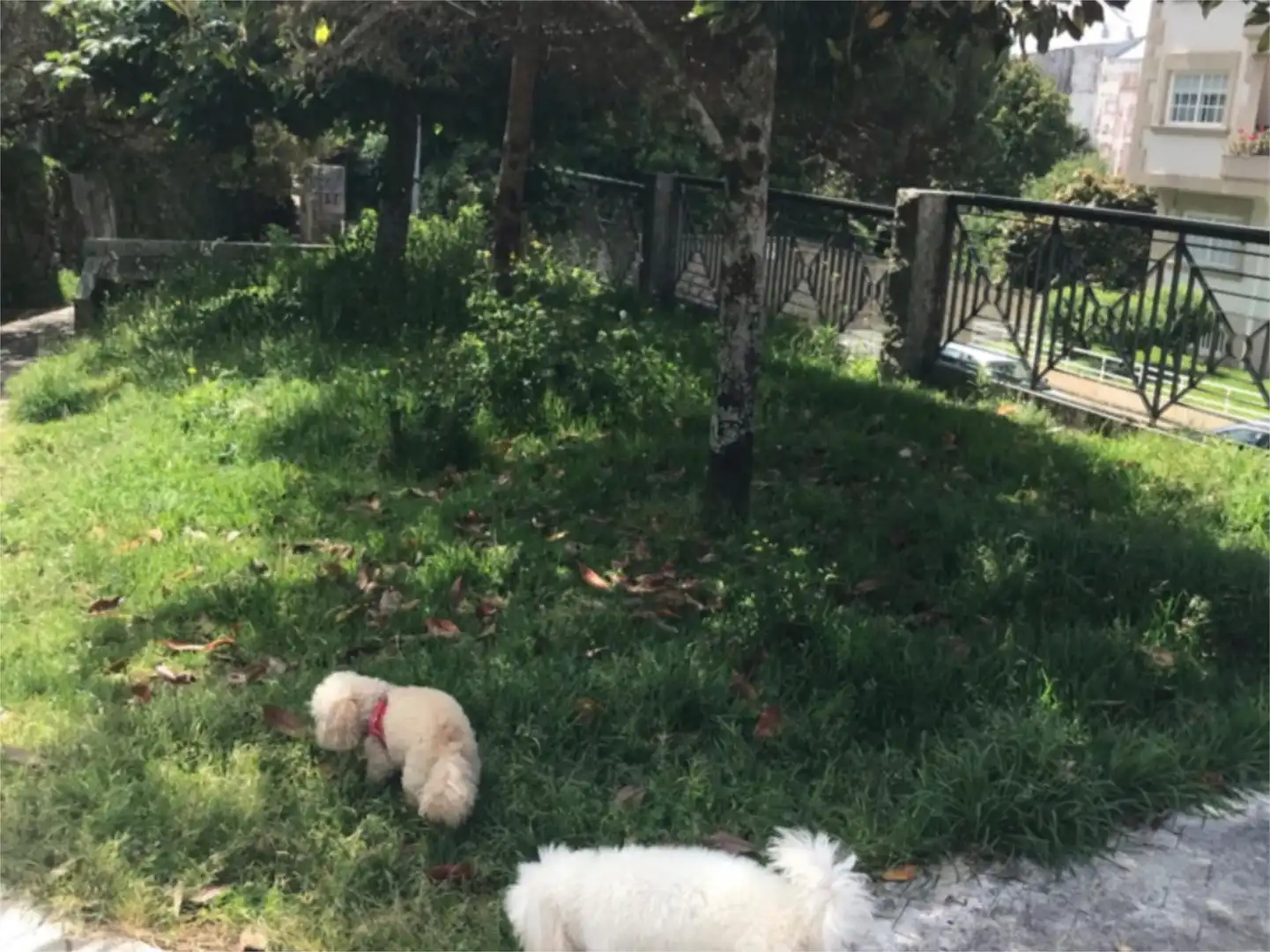 Finca rústica en venda a Po-400, 30, Salvaterra de Miño