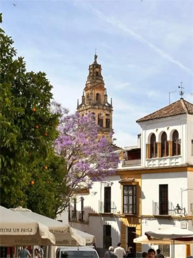 Casa o xalet en venda a Casco Histórico - Ribera - San Basilio Vista exterior de Casa o xalet en venda en Córdoba Capital