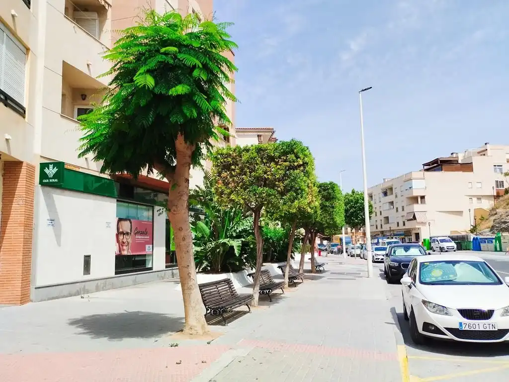 Vista exterior de Pis en venda en Torrenueva Costa amb Terrassa