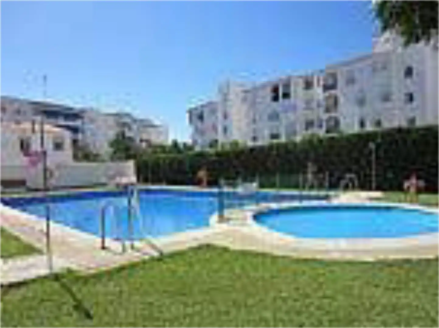 Swimming pool of Flat for rent in Almonte  with Private garden, Terrace and Swimming Pool