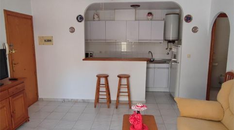 Foto 2 de Piso de alquiler en Avenida Bélgica, 11, Los Europeos, Torrevieja