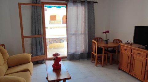 Foto 3 de Piso de alquiler en Avenida Bélgica, 11, Los Europeos, Torrevieja