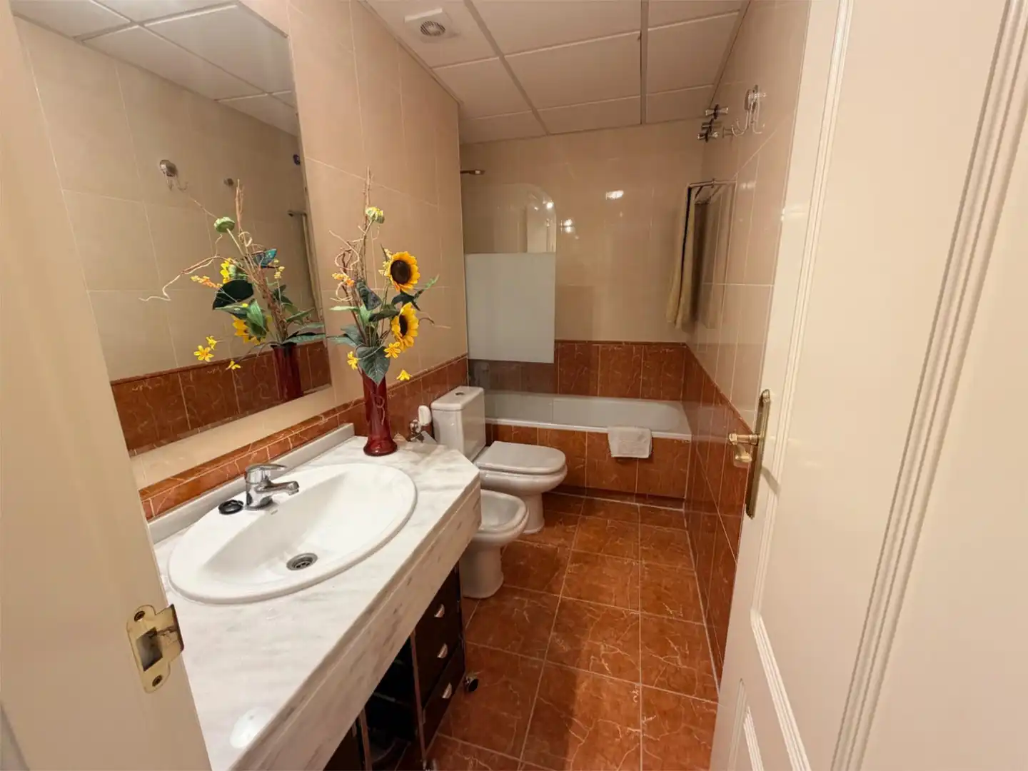 Flat for sale in Calle las Encinas, 50, La Envía Bathroom of Flat for sale in Vícar with Air Conditioner and Terrace