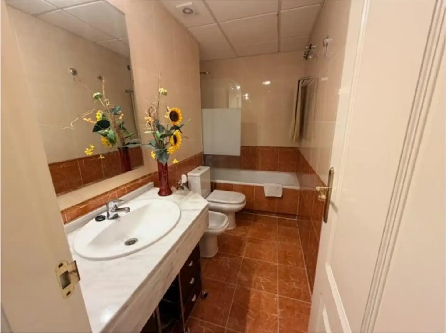 Study for sale in La Envía Bathroom of Study for sale in Vícar with Terrace