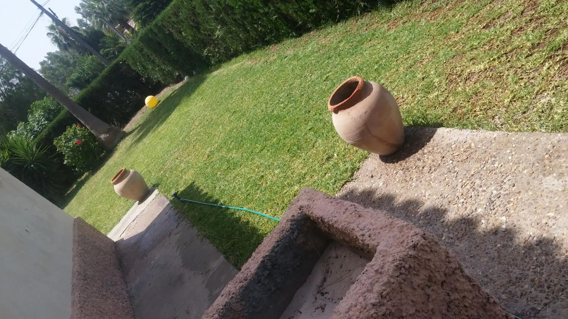 Jardí de Casa o xalet en venda en Carmona amb Piscina comunitària