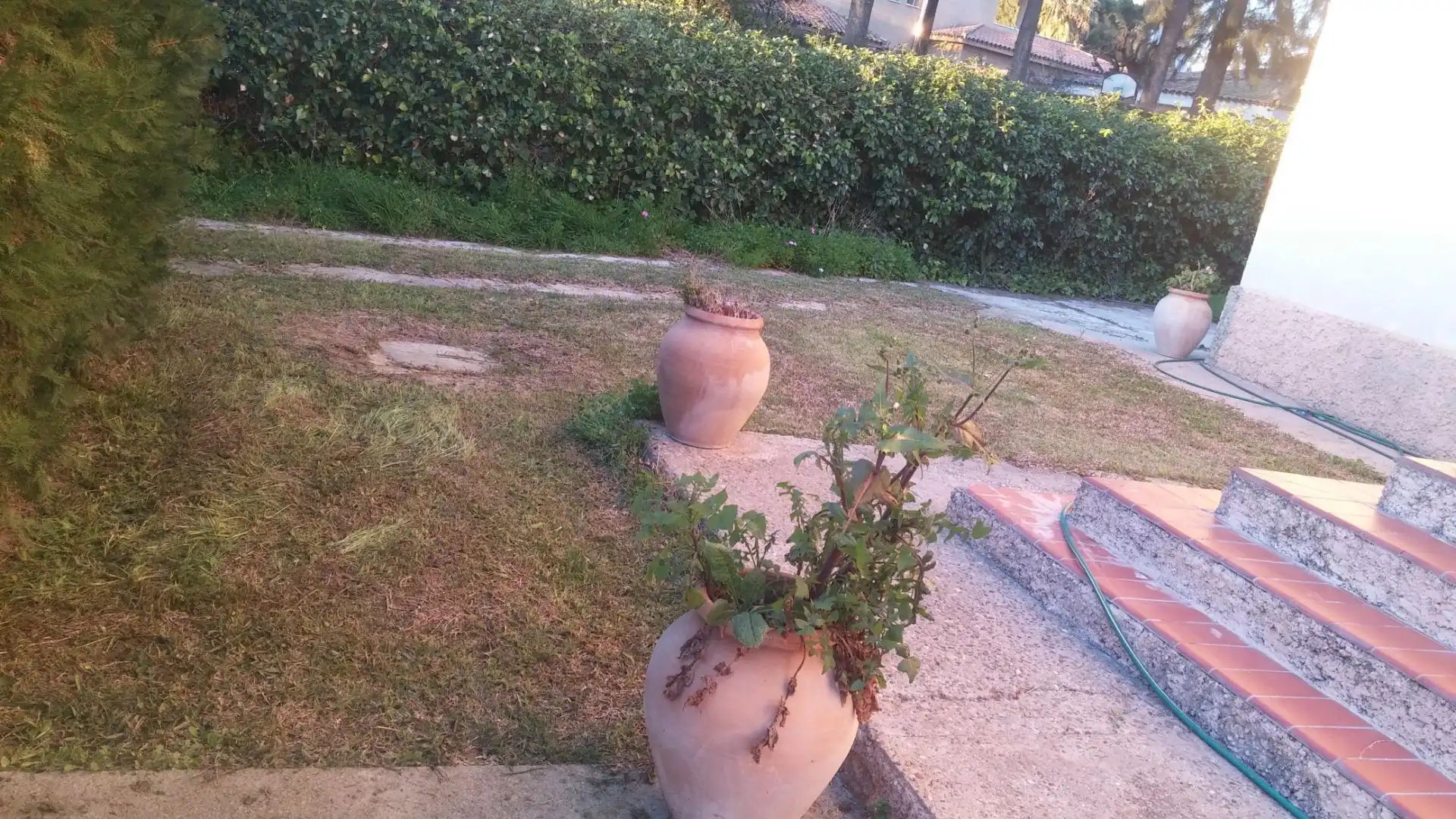 Terrassa de Casa o xalet en venda en Carmona amb Piscina comunitària