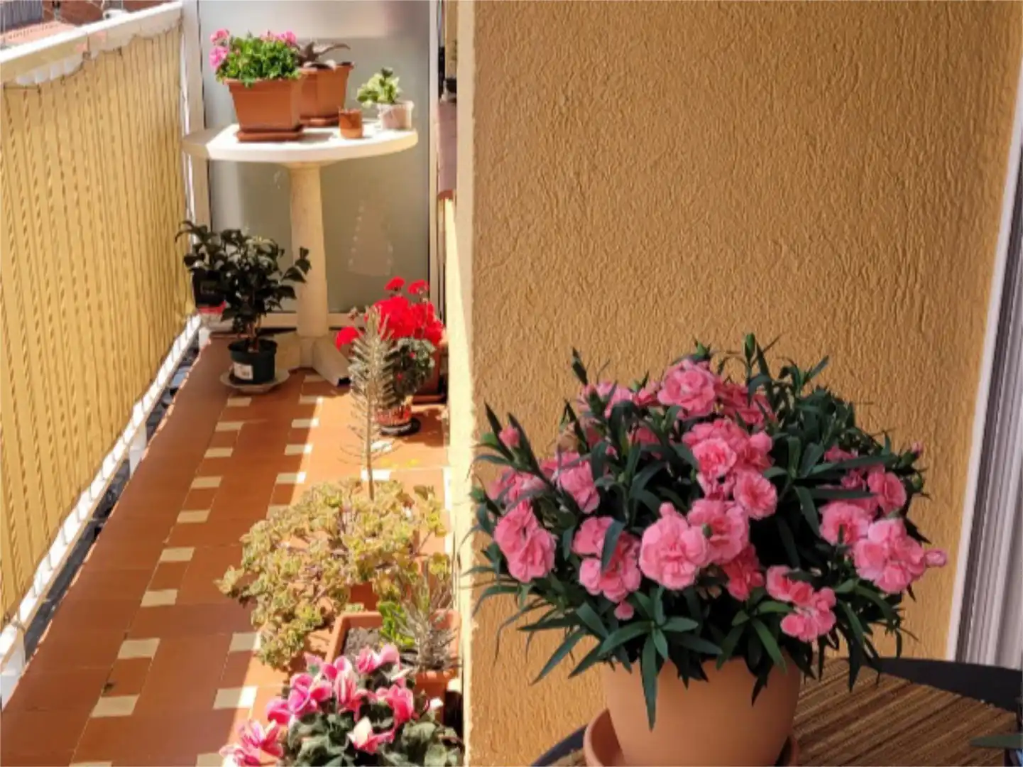 Piso en venta en Carrer de la Mina, 36, Centre Terraza de Piso en venta en Blanes con Balcón
