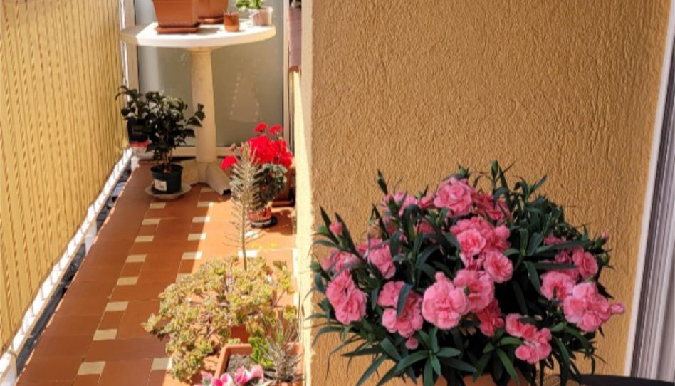 Piso en venta en Carrer de la Mina, 36, Centre, Blanes - imagen 1 Foto 1 de Piso en venta en Carrer de la Mina, 36, Centre, Blanes